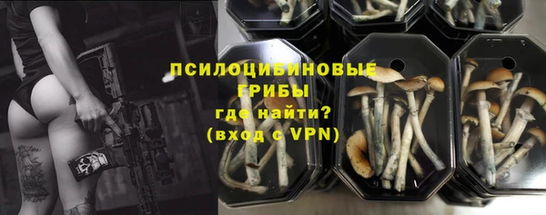 эйфоретик Богородск