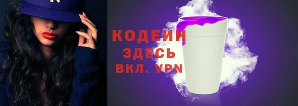 spice Богородицк