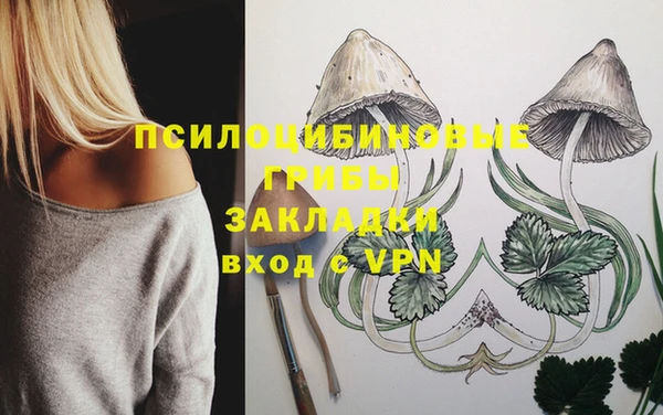 spice Богородицк