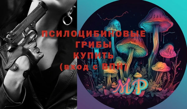 эйфоретик Богородск