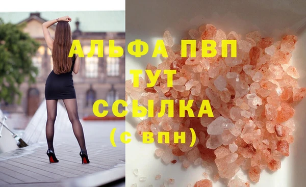 spice Богородицк