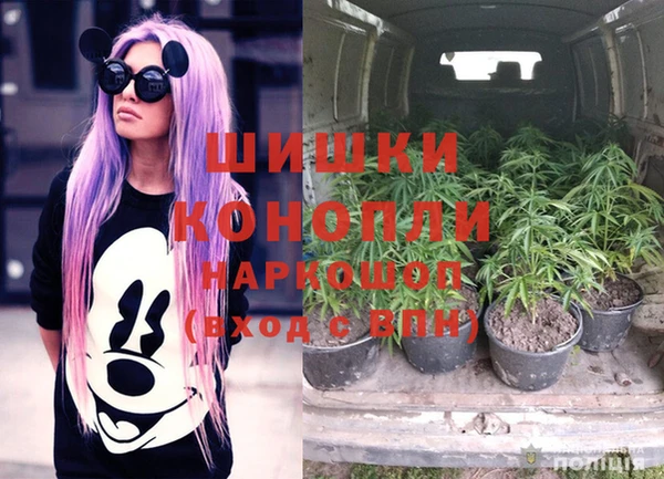 spice Богородицк