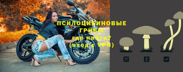 spice Богородицк