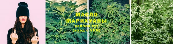 spice Богородицк