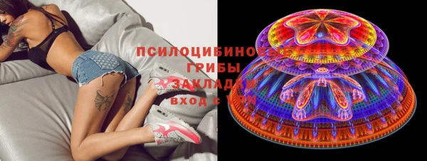 spice Богородицк