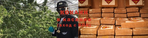 эйфоретик Богородск