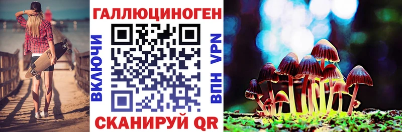 мориарти клад  Сельцо  Галлюциногенные грибы Magic Shrooms 